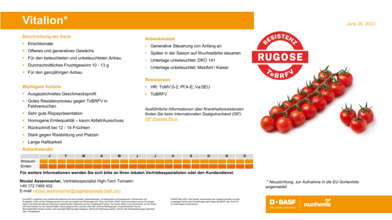 BASF Nunhems | Variety proFILE